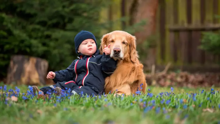 ¡Impactante! Encuentran a bebé gateando solo; era noche y estaba con su perrito | VIDEO