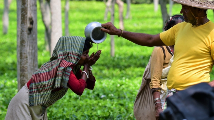 La temperatura media mundial marca nuevo récord a principios de Junio
