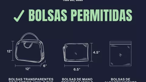 bolsas-permitidas-taylor-swift-cdmx