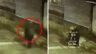 Presunta causa de muerte de mujer abandonada en carrito de Puebla