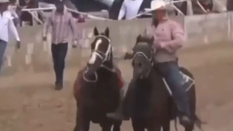 Carrera de caballos Chihuahua.png