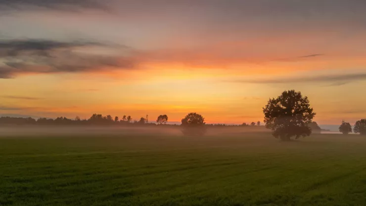 ¿Cuáles estados se verán afectados y cuándo entrará el Frente Frío 7 en México Esto dice el pronóstico