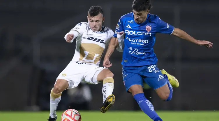 Pumas