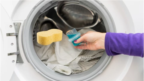 esponja lavadora truco