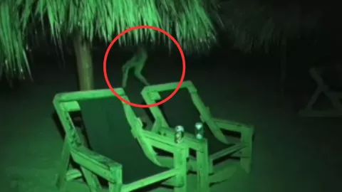 Extraño ser humanoide