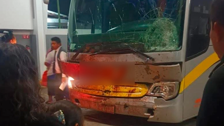 Autobús caballo Arriaga