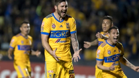 tigres concacaf