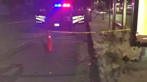 Maltrato animal en Yucatán_ Perrito callejero fue herido de muerte, usuarios denunciaron el caso en redes sociales