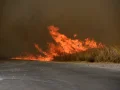 Las zonas aledañas han sido desalojadas y se declaró estado de emergencia.