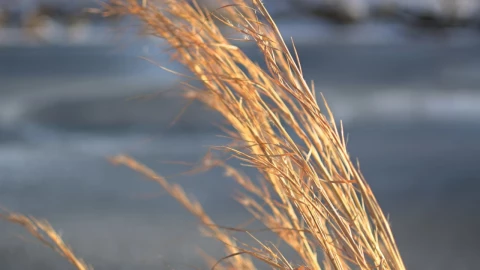 Cosas que no debes hacer durante los vientos de Santa Ana.