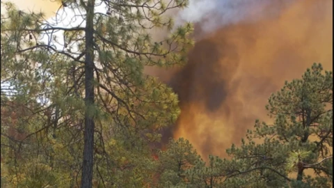 incendio atzayanca tlaxcala evacuación hoy