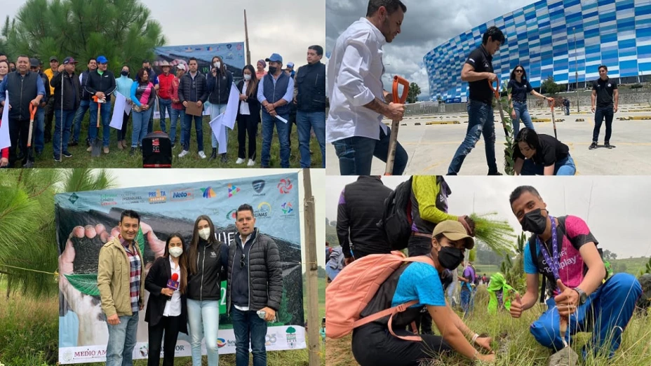 un nuevo bosque 2022