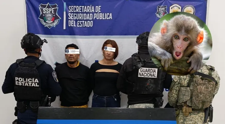Sujetos detenidos en Chihuahua y foto de un mono.