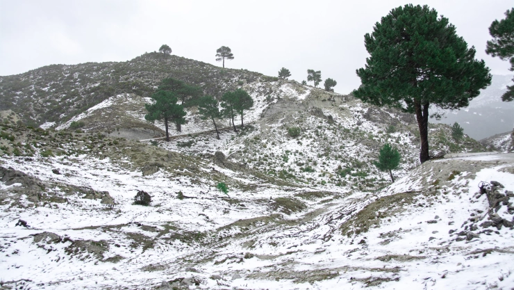 Nieve en Chiapas