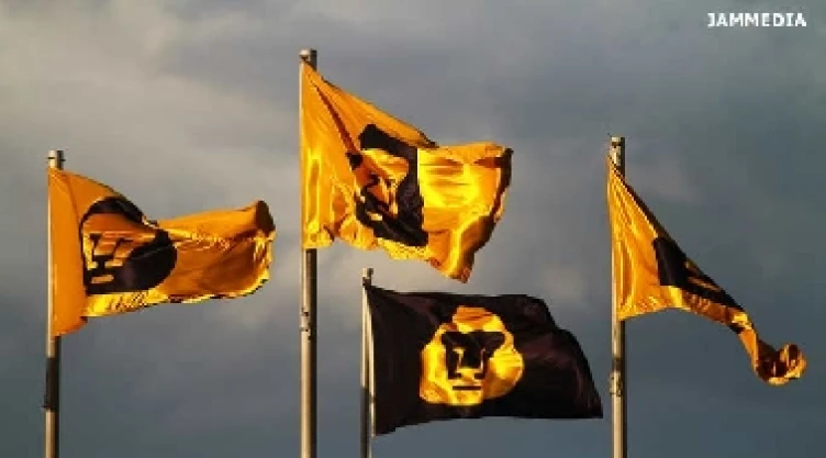 pumas