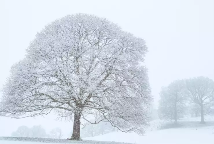 ¿Cómo se dice “nieva” o “neva”? Aquí la forma correcta