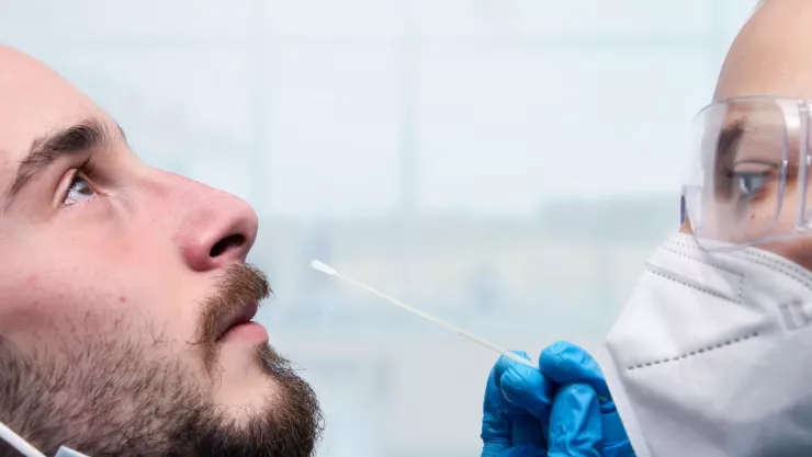 Cinco países activan vigilancia sanitaria tras brote de hantavirus en crucero internacional