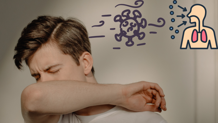 Diseño sin título.png