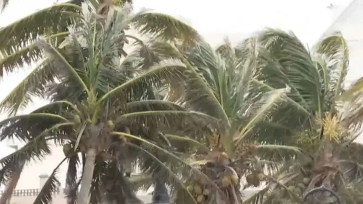 Norte en Veracruz