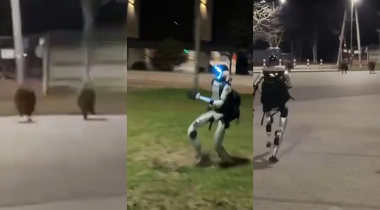 Robot humanoide espanta jabalíes en Polonia y se vuelve viral (VIDEO)