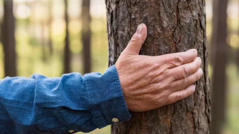 Hombre teniendo sexo con árbol en parque en Reino Unido