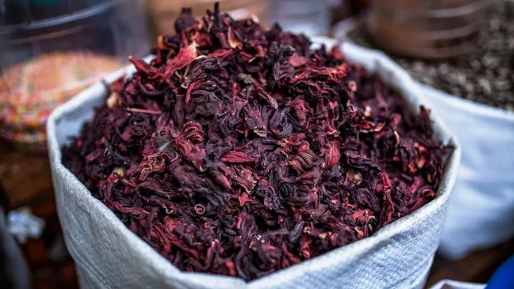 Estudio revela efectividad de flor de jamaica para eliminar bacterias