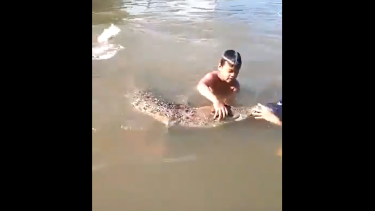 Niños juegan con un cocodrilo en río de Sabah, Indonesia.png
