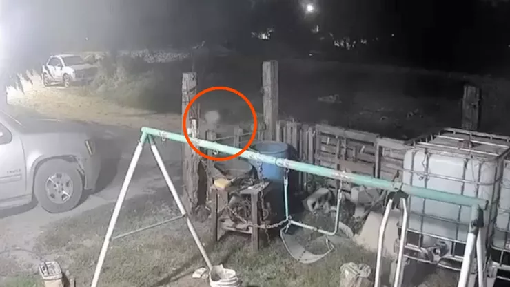 VIDEO Captan a un supuesto nahual en medio en el patio de una casa en Veracruz