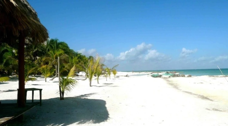 Holbox