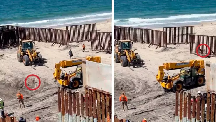 VIDEO_ Conoce a ‘Oso’, el perrito que cruzó muro entre Tijuana y Estados Unidos
