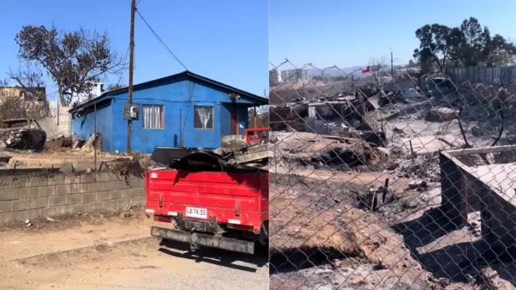 Cas azul en Chile no se quema en los incendios