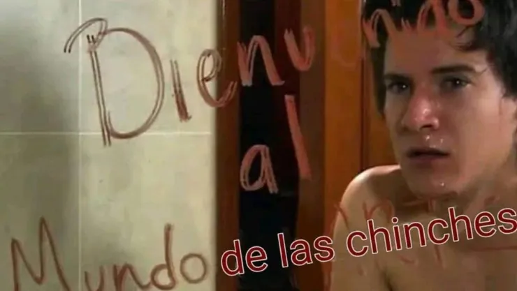 ¿Hay plaga de chinches en la CDMX? Los memes hablan por sí solos