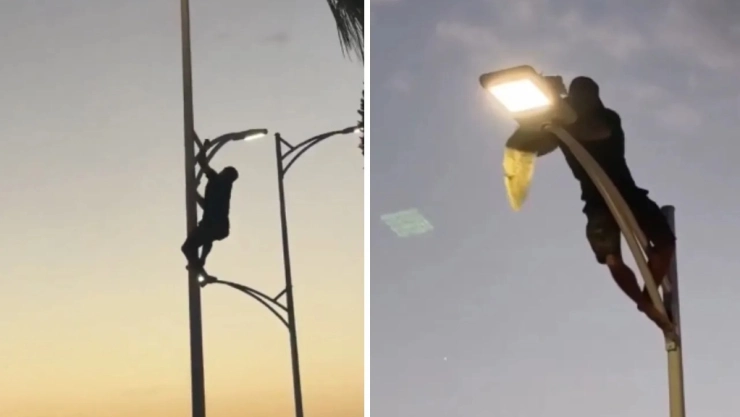 Joven ARRIESGA su vida para salvar gaviota atrapada en el malecón: Video del rescate