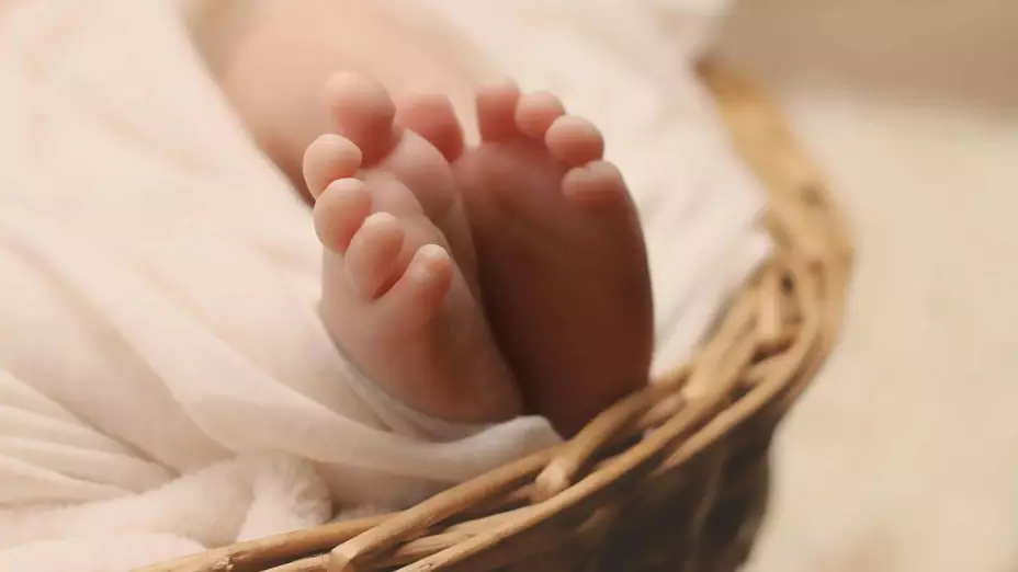 Bacteria Klebsiella oxytoca en menores de edad.