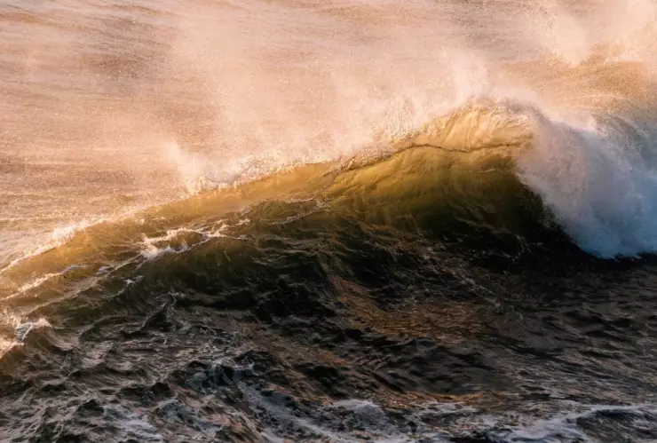 Semana Santa Tijuana 2025 ¿Por qué podría desaparecer el mar?