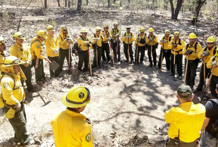 Se reportan 41 incendios forestales activos en 14 entidades del país Conafor