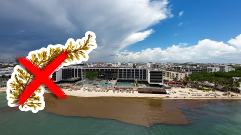 Conoce las playas libres de sargazo en Tulum, Carrillo Puerto, Bacalar y Chetumal HOY 12 de septiembre de 2025.jpg