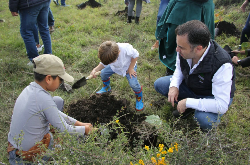 Sin duda Un Nuevo Bosque de disfrutó mejor en familia