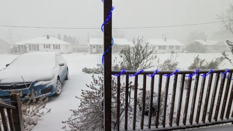 ¡Se pinta de blanco! Nueva York registra primera nevada después de 652 días