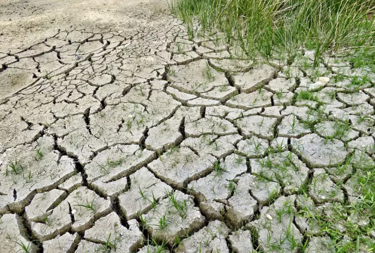 Pronóstico del clima en Jalisco para hoy 6 de mayo calor, sol y máximas de hasta 32 °C.png
