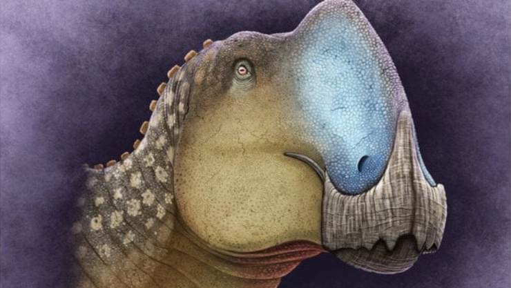 Descubren-nuevo-dinosaurio-mexicano-el-Coahuilasaurus-Lipani