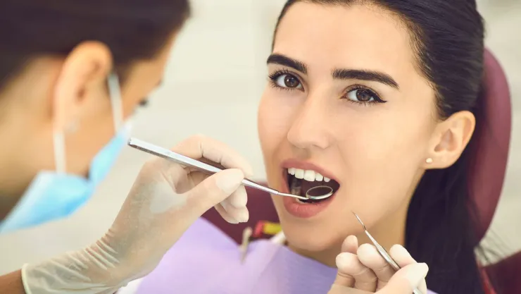 Muy pronto se podrán regenerar los dientes en seres humanos: Esto sabemos