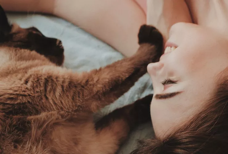 ¿Qué siente tu gato cuando lo besas?