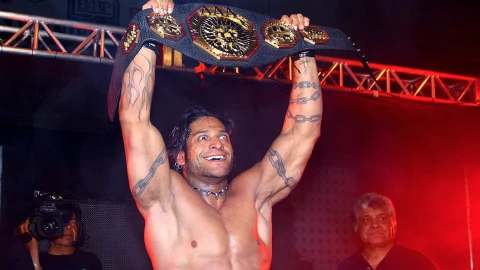 Cibernético Luchador 