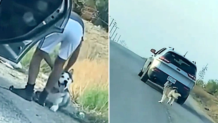 texas_dueno_perrito