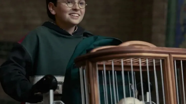 Harry Potter, la serie la ROMPE en HBO Max el título #1 en más de 20 países