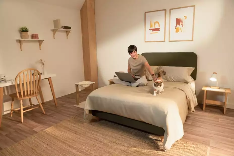 Día del sueño 1.jpeg