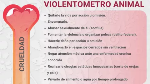 Violentómetro Animal