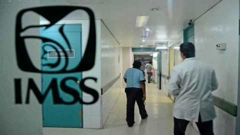 imss.jpg