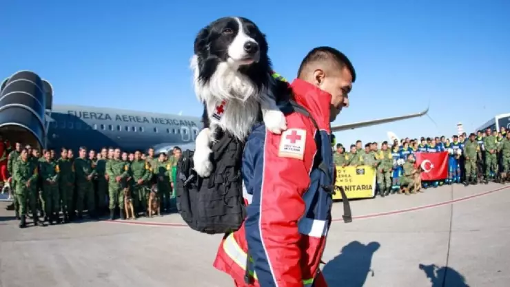 El avión de la Fuerza Aérea Mexicana aterrizó en Turquía con ayuda humanitaria tras el terremoto de magnitud 7.8.